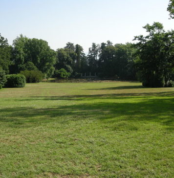 Cure per un prato perfetto 1121 0 Cure per un prato perfetto.JPG